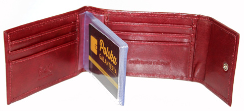 Etui Na Karty Dokumenty CRIS-POL (PL) Duży Wizytownik Zamykany Na Nap Skóra Naturalna RFID W1 13 x 8 x 2 [cm]