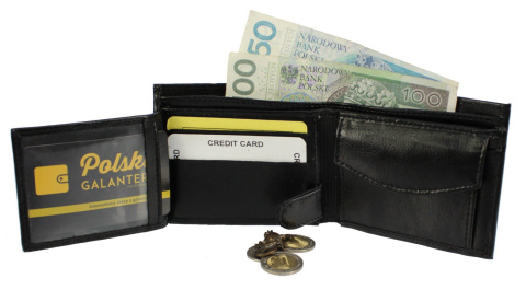 EL039 dla NSZZP z LOGO