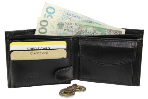 EL039 dla NSZZP z LOGO