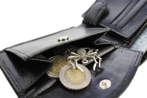 EL039 dla NSZZP z LOGO