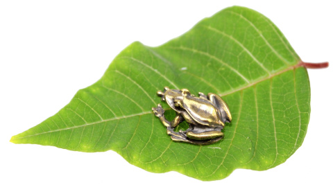 Żabka Mosiężna Na Pomnażanie Pieniędzy ZŁOTA