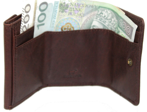 Portfelik Uniwersalny Mała Sakieweczka Skórzana El Forrest (PL) MARS II Skóra Naturalna BRĄZOWY 855 22 9,5 x 8 x 2 [cm]