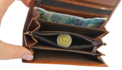 Klasyczny Portfel Damski KONIAKOWY HARO (PL) Poziomy Mały Skóra Włoska 14 x 9 [cm]