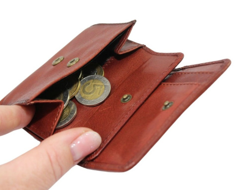 Portfelik Uniwersalny Mała Sakieweczka Skórzana El Forrest (PL) MARS II Skóra Naturalna BRĄZOWY 855 29 9,5 x 8 x 2 [cm]