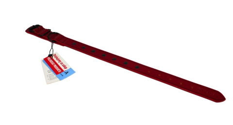 Solidna Obroża Dla Psa Czerwona z Dżetami Czarna Nitka Skóra Naturalna 30 mm 41/51 cm WIREX (PL)