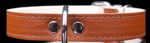 Solidna Obroża Dla Psa Skóra Naturalna 32-39 [cm] ZOO LESZCZ (PL) ZL0153