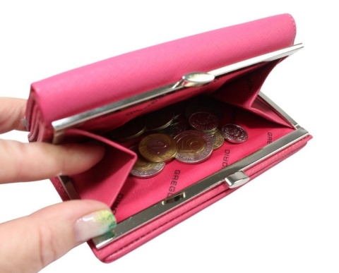 Portfel Damski Skórzany GREGORIO 14 cm Klamra i Klapka Skóra Naturalna FRZ-108 RÓŻOWY Z MORSKIM 14 x 9 x 3,5 [cm]