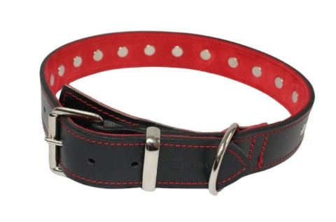 Solidna Obroża Dla Psa Czarna z Czerwoną Nitką Skóra Naturalna 35 mm 56/65 [cm] WIREX (PL)