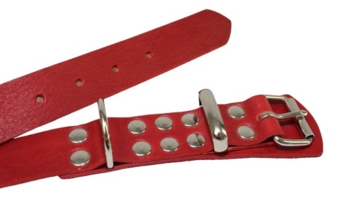 Solidna Obroża Dla Psa Czerwona Skóra Naturalna 25 mm 28/38 [cm] WIREX (PL)