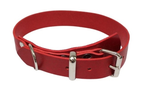 Solidna Obroża Dla Psa Czerwona Skóra Naturalna 30 mm 39/49 [cm] WIREX (PL)
