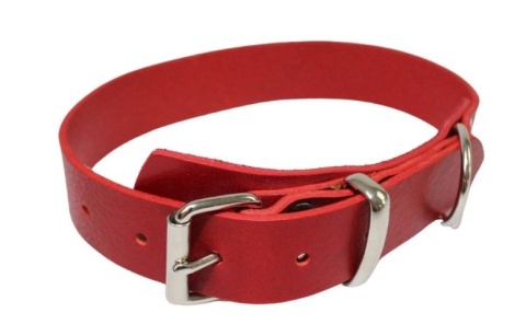 Solidna Obroża Dla Psa Czerwona Skóra Naturalna 30 mm 39/49 [cm] WIREX (PL)