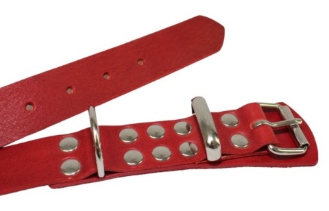 Solidna Obroża Dla Psa Czerwona Skóra Naturalna 30 mm 39/49 [cm] WIREX (PL)