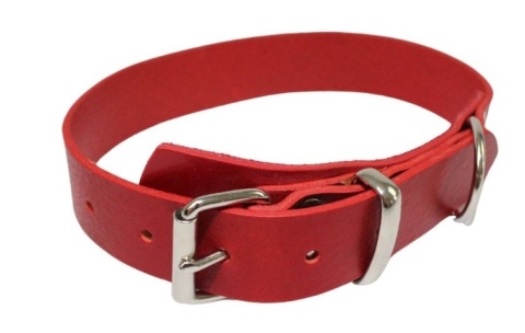 Solidna Obroża Dla Psa Czerwona Skóra Naturalna 35 mm 56/65 [cm] WIREX (PL)