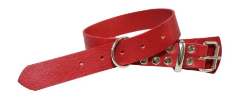 Solidna Obroża Dla Psa Czerwona Skóra Naturalna 35 mm 56/65 [cm] WIREX (PL)
