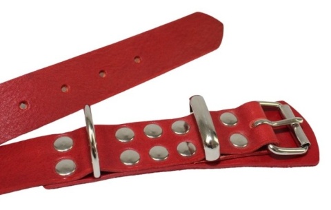 Solidna Obroża Dla Psa Czerwona Skóra Naturalna 35 mm 56/65 [cm] WIREX (PL)