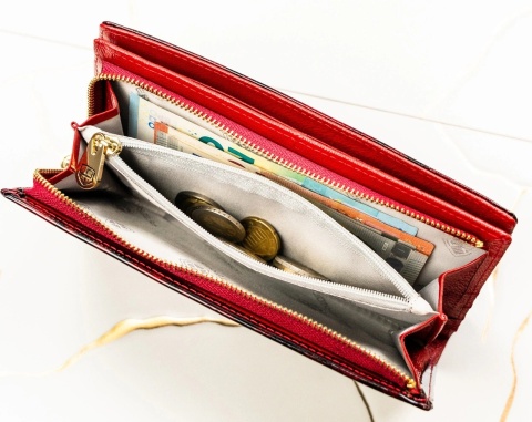 Portfel Damski Skórzany Peterson Lakierowany Długi Z Suwakiem Na Zewnątrz PTN-PS1431 CZERWONY 19,5 x 10 x 3,5 [cm]