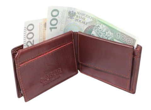 Portfel Skórzany WILD Skóra Licowa Mały Poziomy Bez Zapięcia Ze Skrzydełkiem Na karty MINI 32B 10 x 7,5 x 2  [cm]