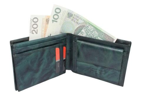 Portfel Męski Skórzany Pierre Cardin Skóra Licowa Poziomy Bez Zapięcia NIEBIESKI RIFD TILAK12 8805 12 x 9,5 x 2 [cm]