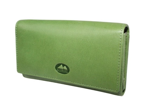 Portfel Damski Skórzany El Forest (PL) Klamra Wewnątrz Skóra Bydlęca RFID 919 151 ZIELONY 16,5 x 9 x 3 [cm]