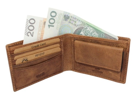Portfel Męski Skórzany EL FORREST Mały Skóra Bydlęca Poziomy RFID 916 A 08 BRĄZOWY 11 x 8 x 2 [cm]