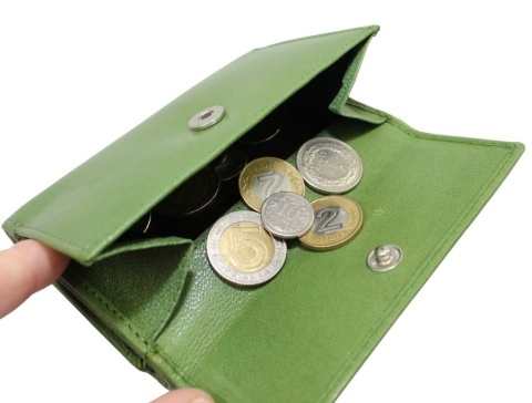Portfel Skórzany El Forrest Skóra Licowa Kieszeń Na Zewnątrz RFID 900 151 ZIELONY 12 x 8 x 3 [cm]