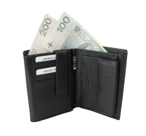 Elegancki Portfel Męski Skórzany ALBATROSS Skóra Licowa RFID Duży Pionowy Płaski SN-MW07 13,5 x 10,5 x 2 [cm]
