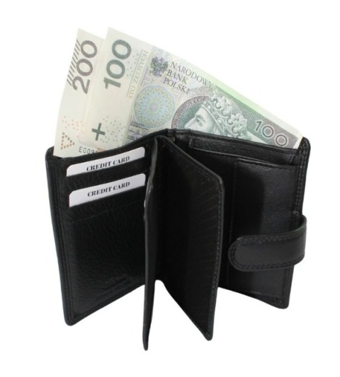 Elegancki Portfel Męski Skórzany ALBATROSS Skóra Licowa RFID Duży Pionowy Płaski Z Zapinką MW 102Z 12,5 x 9 x 2,5 [cm]