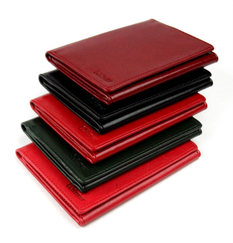 Etui Na Dokumenty WILMAR (PL) Duże Trzy Części WIL_P1/3