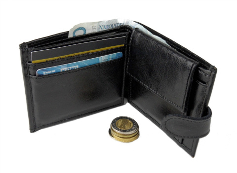 Portfel Skórzany SARA (PL) Skóra Licowa Mały Poziomy Z Zapięciem SAR_P8