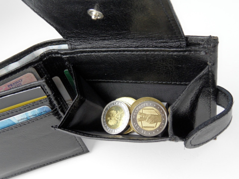 Portfel Skórzany SARA (PL) Skóra Licowa Mały Poziomy Z Zapięciem SAR_P8