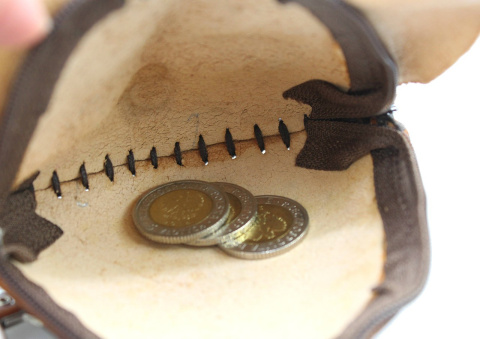 Portfelik / Etui Uniwersalne Skóra Naturalna Delfinek