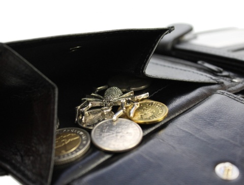 Portfel Męski Skórzany ELLINI Skóra Licowa Duży Poziomy Z Zapięciem Dwa Skrzydełka TM-14-032