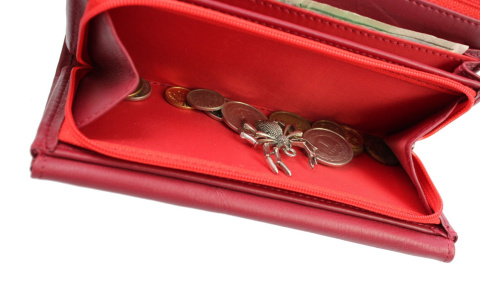 Portfel Damski PolskaGalanteria (PL) Długi Suwak Skóra Naturalna KWIATEK BORDOWY D0728