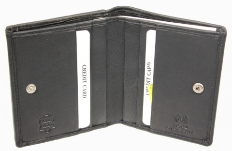 Portfel ALBATROSS (PL) Skóra Naturalna Licowa Mały Pionowy KOMIN PIEKIEŁKO RFID SN A3822 L 9 x 10 x 1,5 [cm]