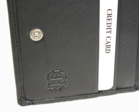 Portfel ALBATROSS (PL) Skóra Naturalna Licowa Mały Pionowy KOMIN PIEKIEŁKO RFID SN A3822 L 9 x 10 x 1,5 [cm]