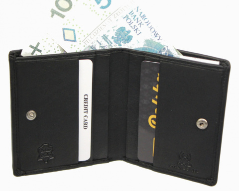 Portfel ALBATROSS (PL) Skóra Naturalna Licowa Mały Pionowy KOMIN PIEKIEŁKO RFID SN A3822 L 9 x 10 x 1,5 [cm]