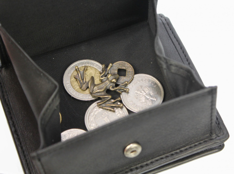 Portfel ALBATROSS (PL) Skóra Naturalna Licowa Mały Pionowy KOMIN PIEKIEŁKO RFID SN A3822 L 9 x 10 x 1,5 [cm]