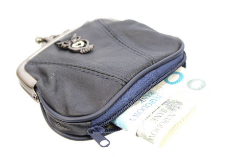 Sakiewka Uniwersalna Klamerka Skóra Naturalna 0542 8 x 11 x 2 [cm]