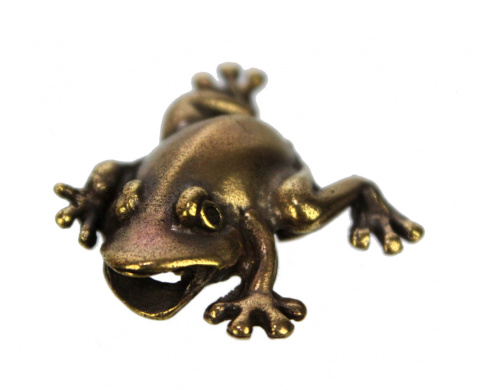 Żabka Mosiężna Średnia Na Pomnażanie Pieniędzy