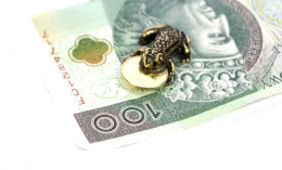 Żabka Mosiężna Średnia Z Monetą Na Pomnażanie Pieniędzy