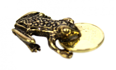 Żabka Mosiężna Średnia Z Monetą Na Pomnażanie Pieniędzy
