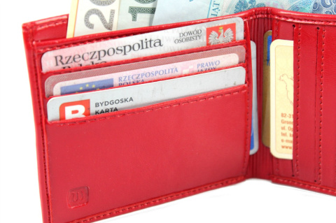 Portfel Damski WILMAR (PL) 10 cm Klamra Skóra Włoska WIL_P10 10 x 9 x 2 [cm]